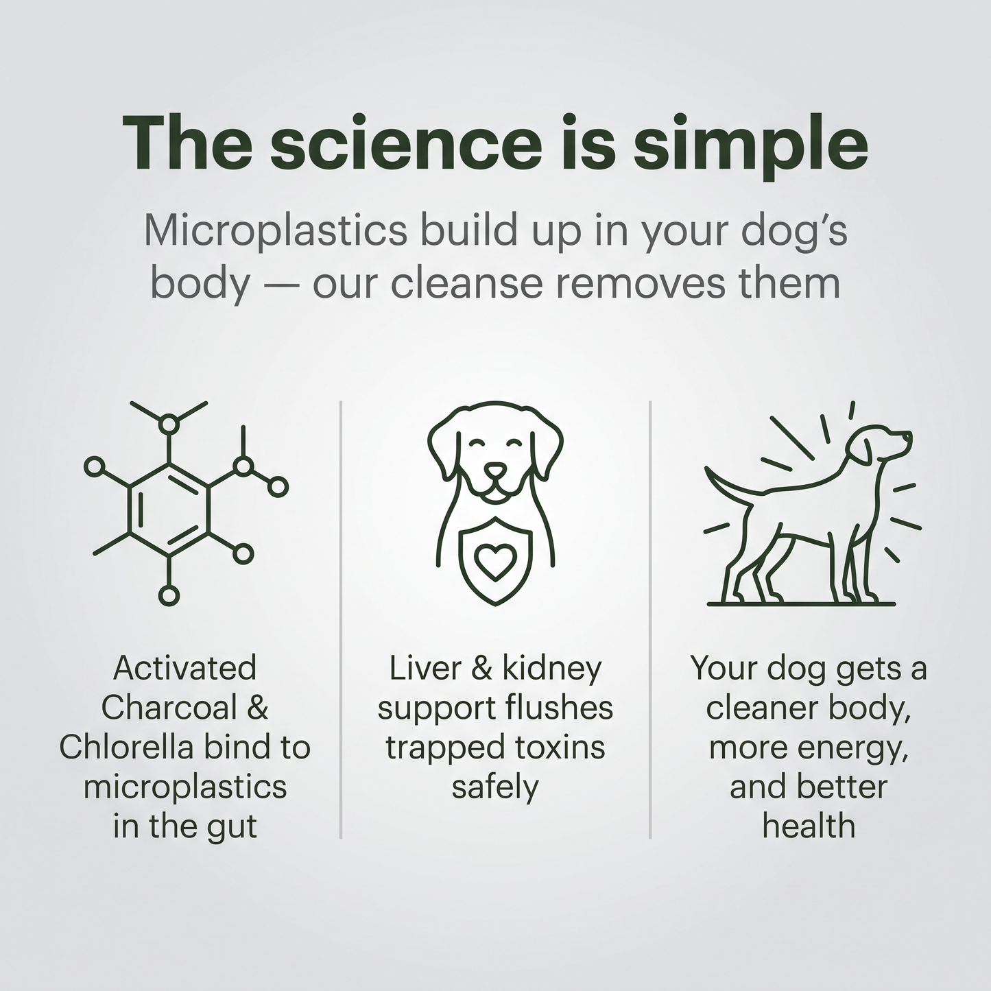 Microplastic cleanse Powder